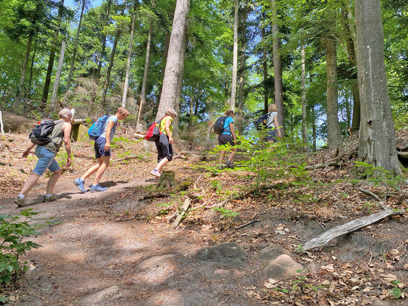 Frauenwanderung
