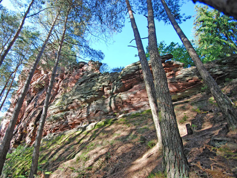 Gruppenwanderung