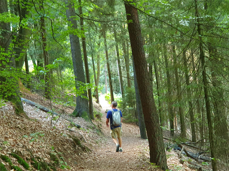 Waldbaden